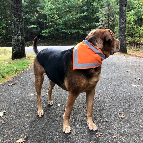 Hunter Orange Reflective Dog Bandana