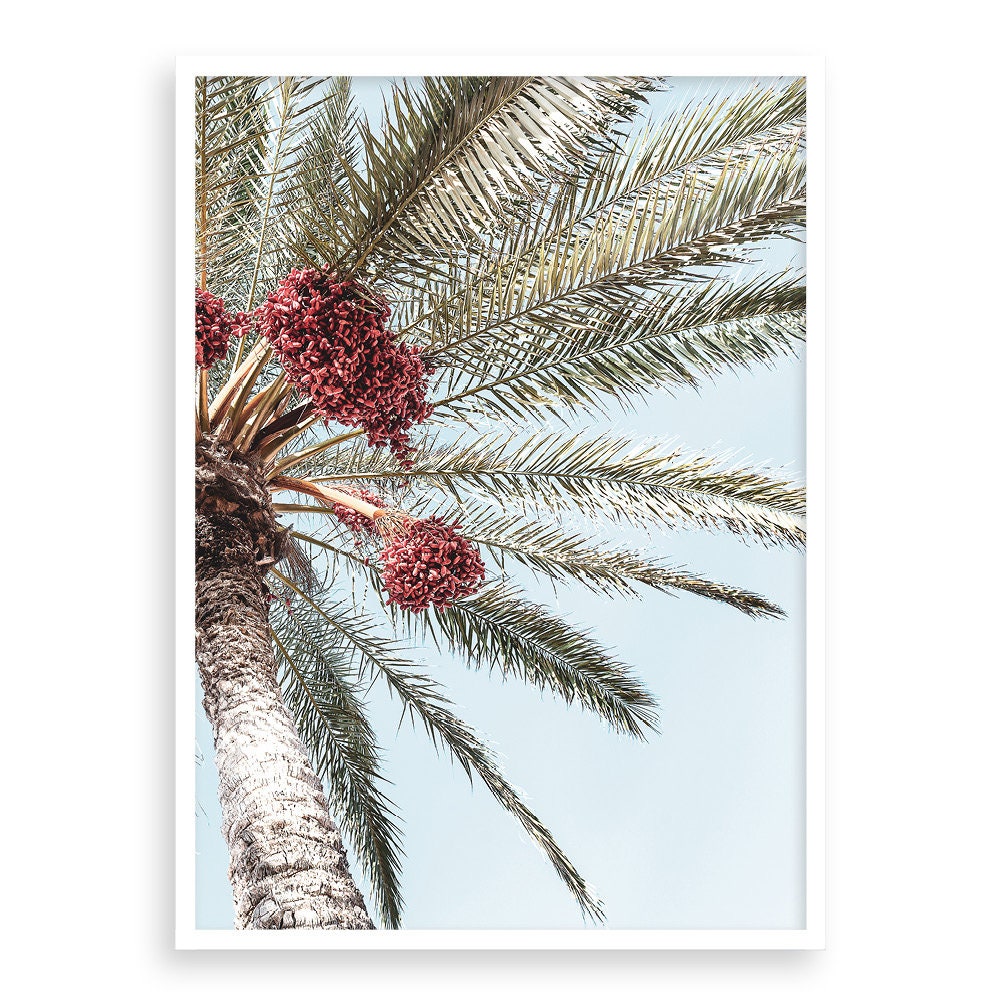 PALM FRUIT Photography Print Palm Leaf Print Botanical - Etsy