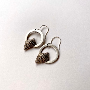 Silver conch shell earrings, pure silver with 925 sterling silver hooks