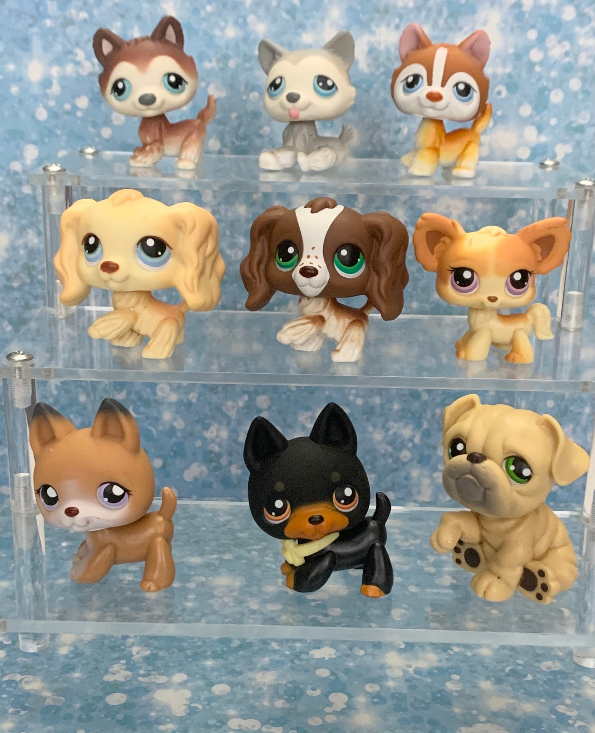 LPS Littlest pet shop chien European cat dogue colley cat dog rare