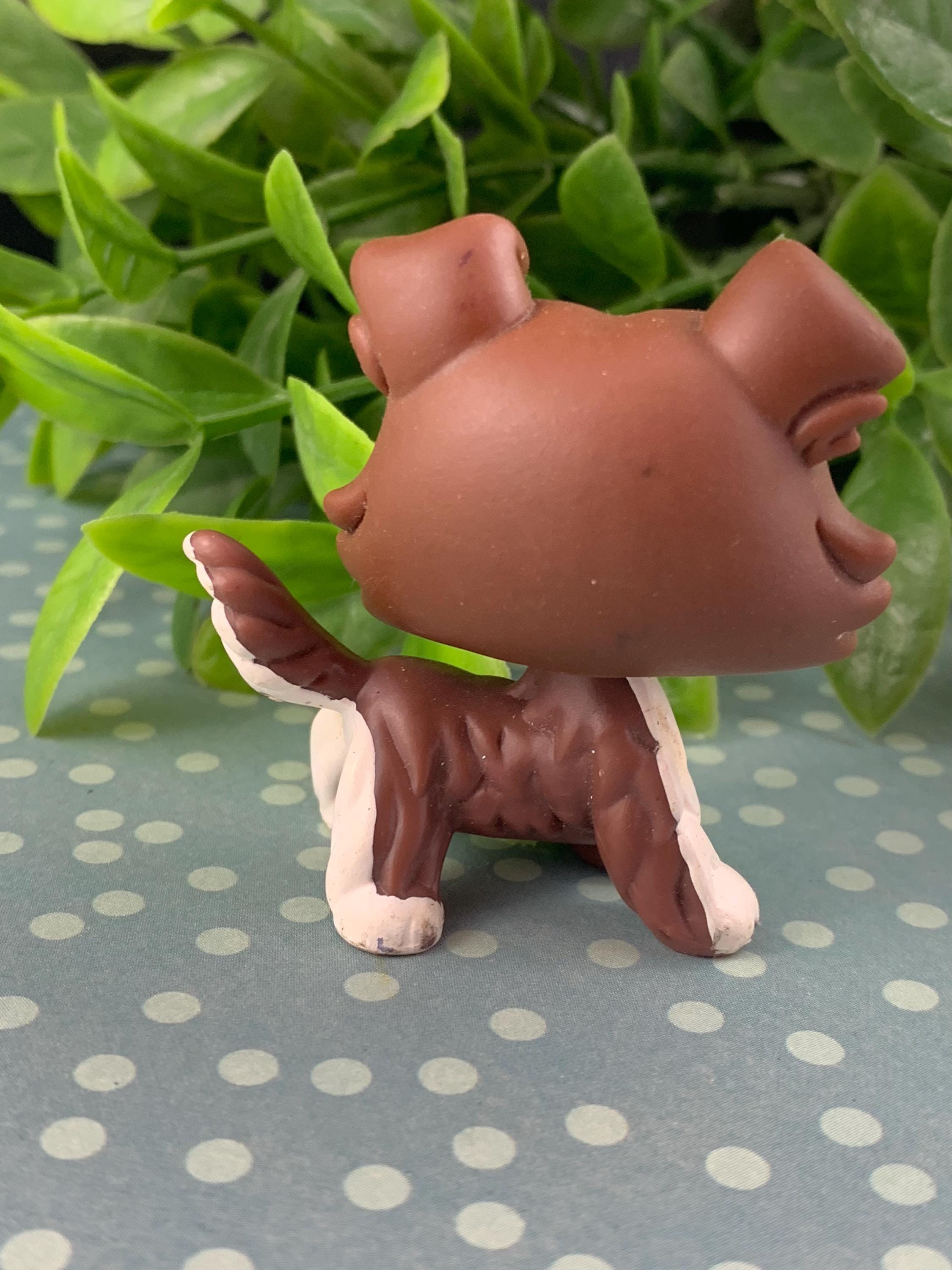 Littlest Pet Shop LPS Authentique - Chien Collie Colley Variante Europe - Hasbro