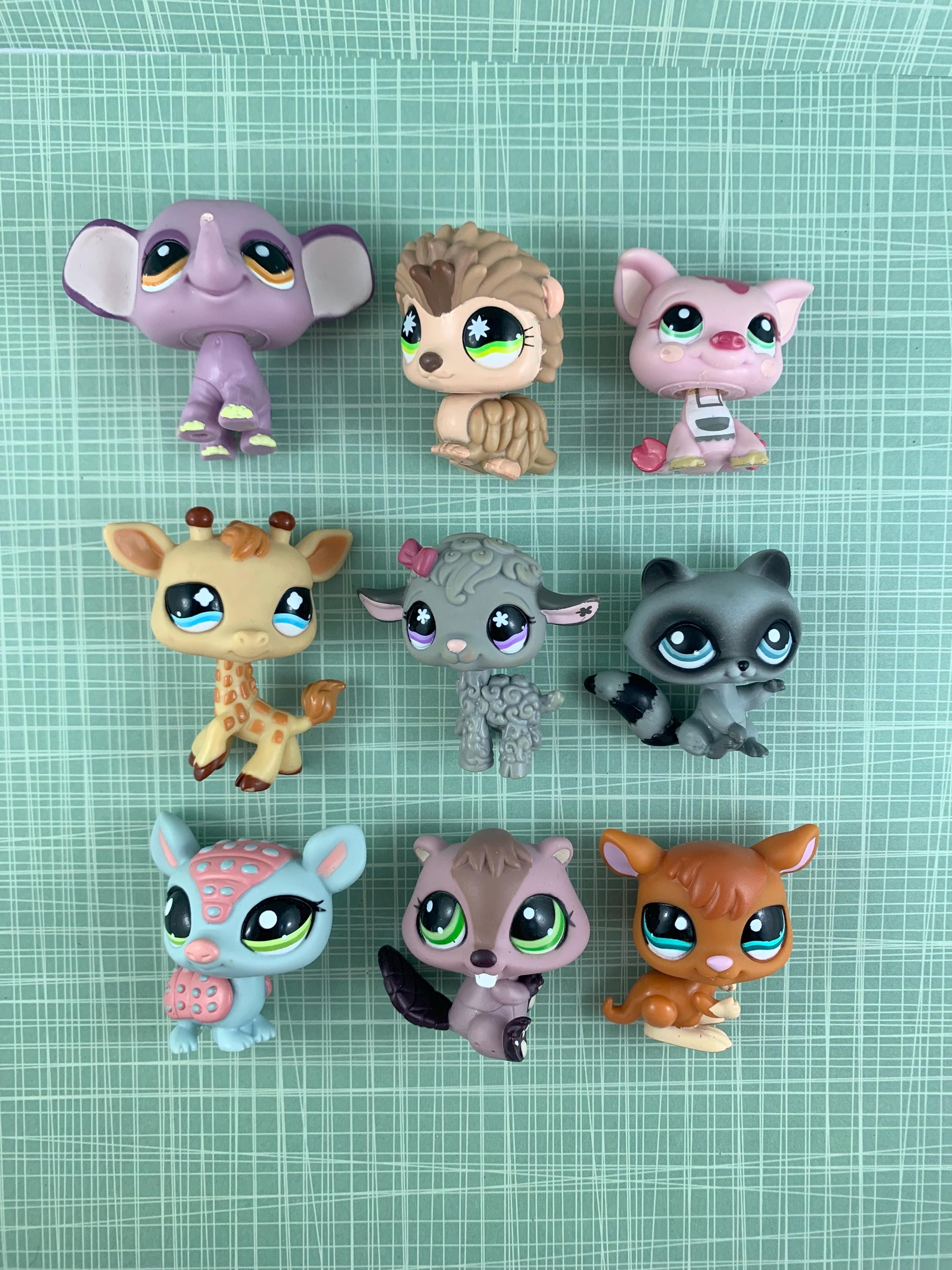 Hot exotic pet shops Store