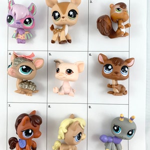 Lps Flying Squirrel Etsy
