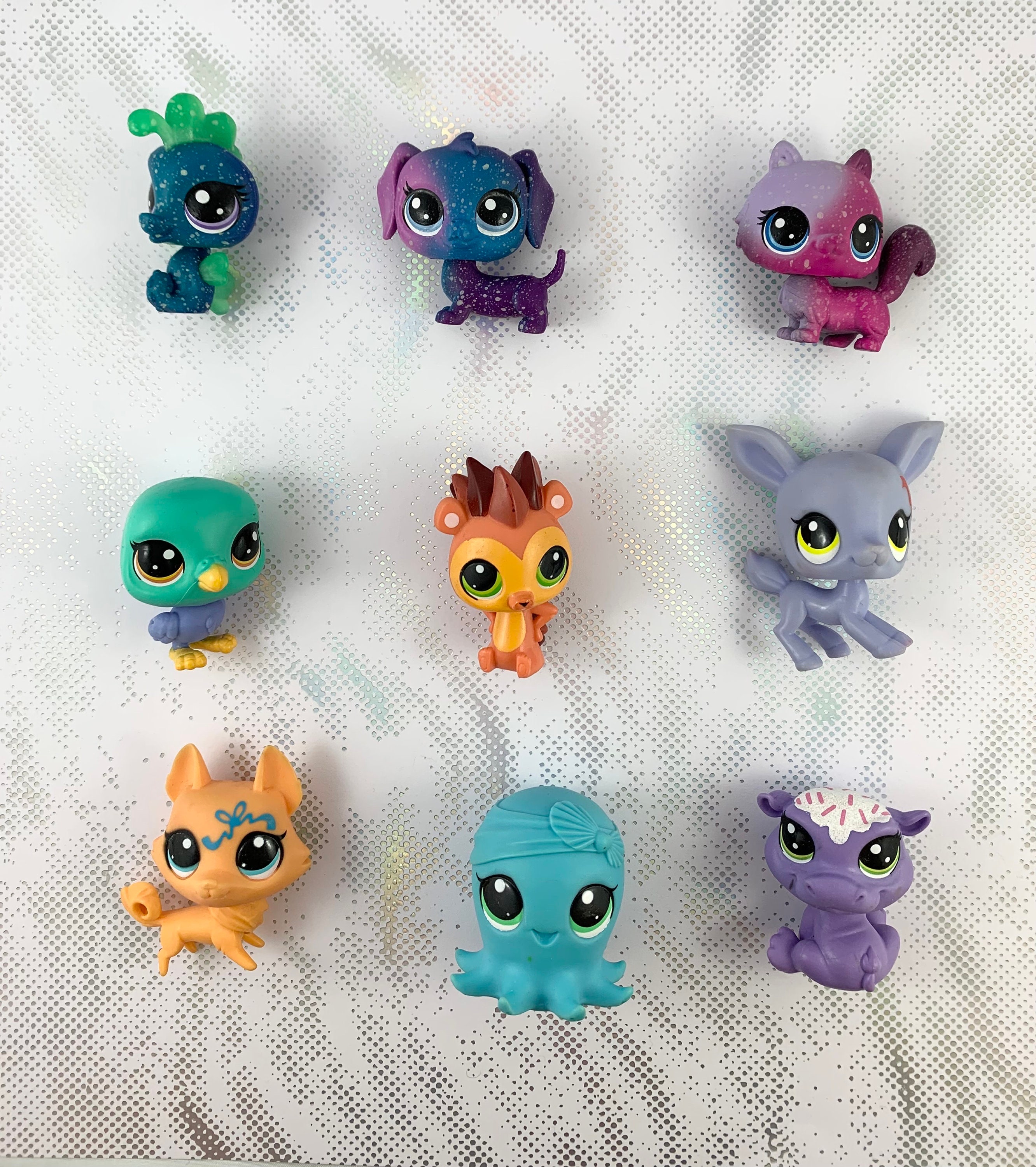 Littlest pet sale shop galaxy pets