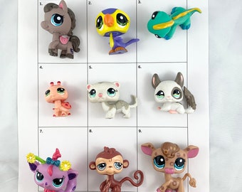 Authentic Retired Littlest Pet Shop - Your Choice! Only Ones Left - Purple Garden Fairy and Monkey #485