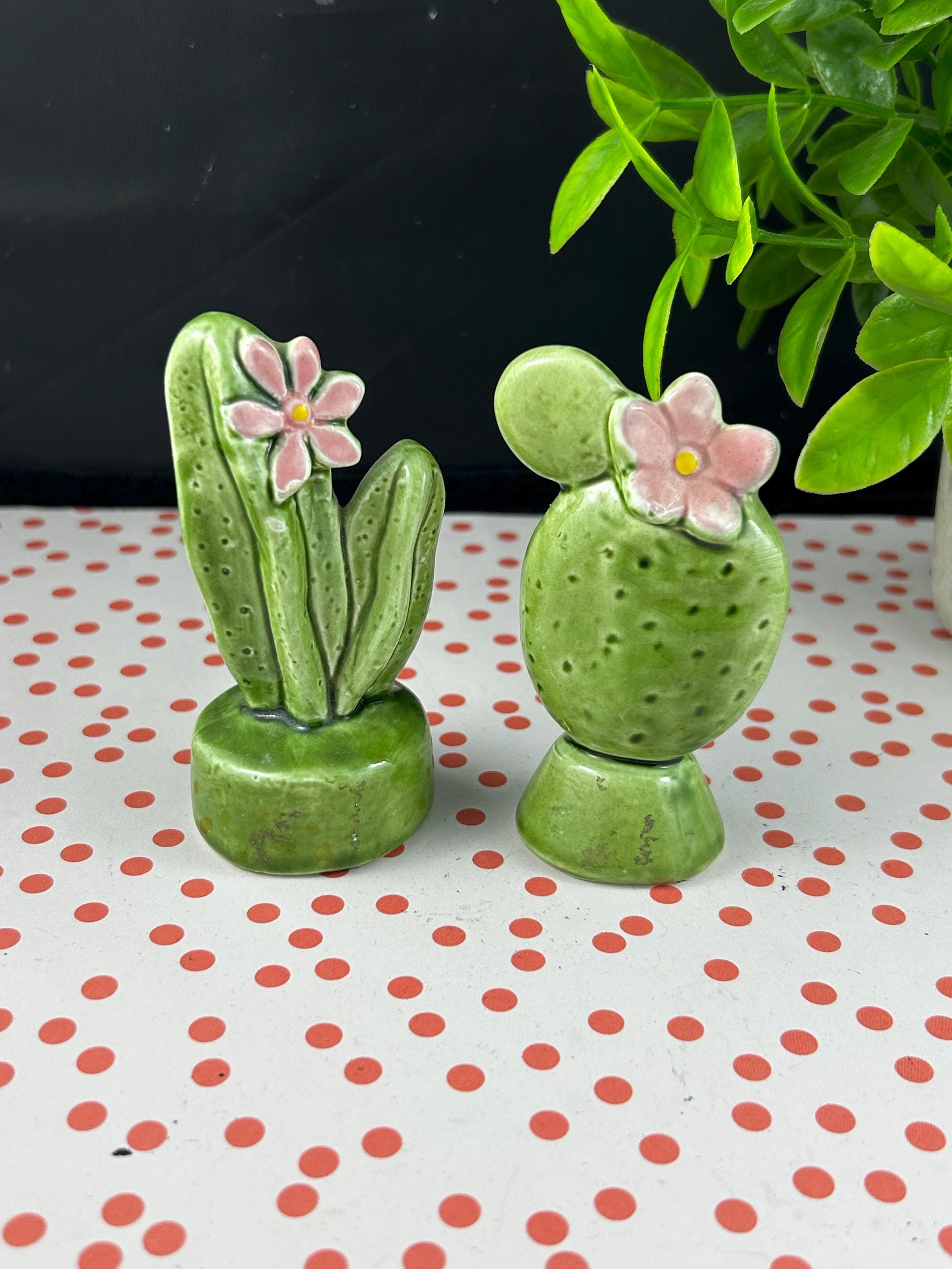 Kaktus salzstreuer - Etsy.de