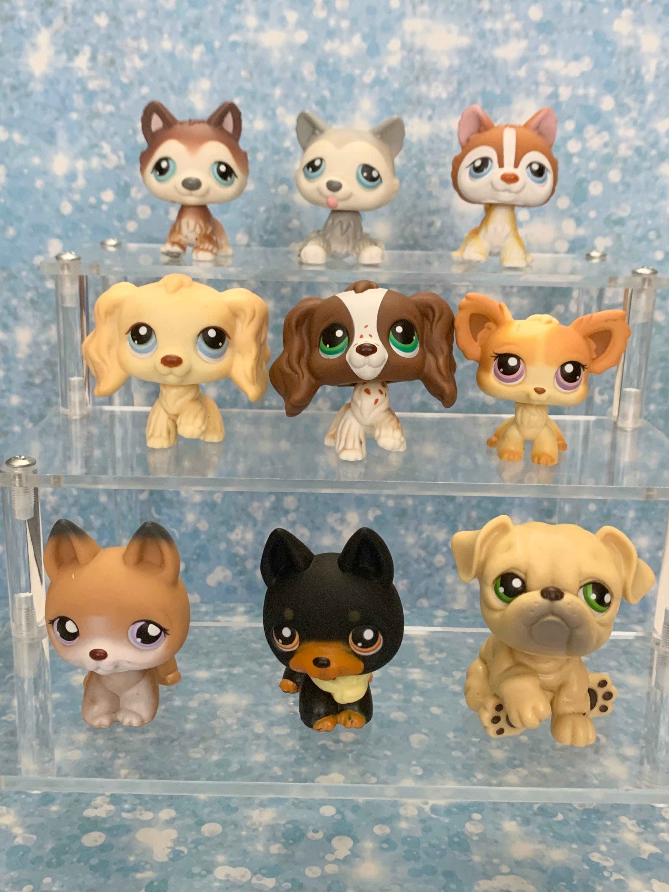 Old lps top cocker spaniel