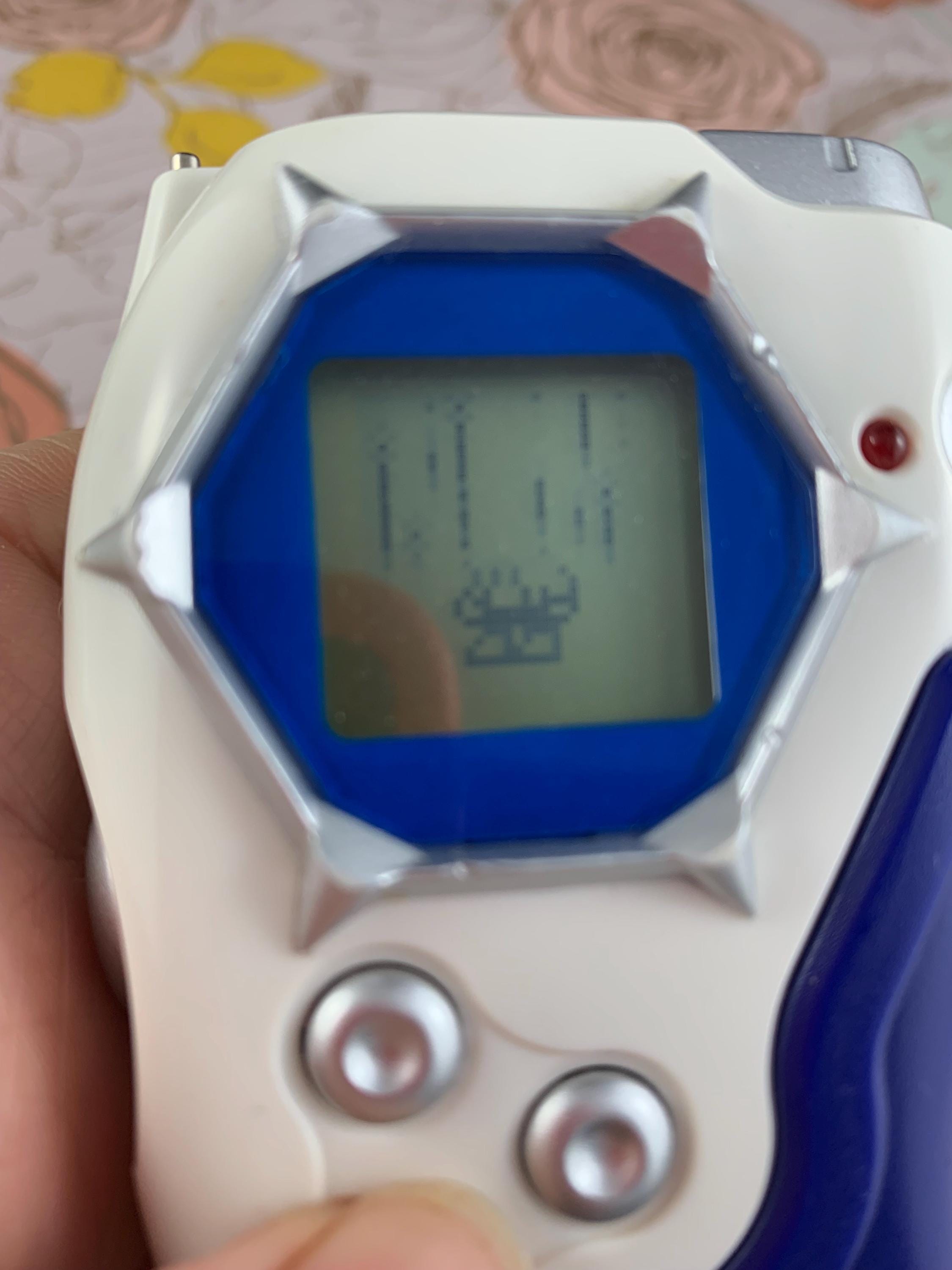 RARE 2002 Akiyoshi Hongo - Toei Animation Bandai Digimon