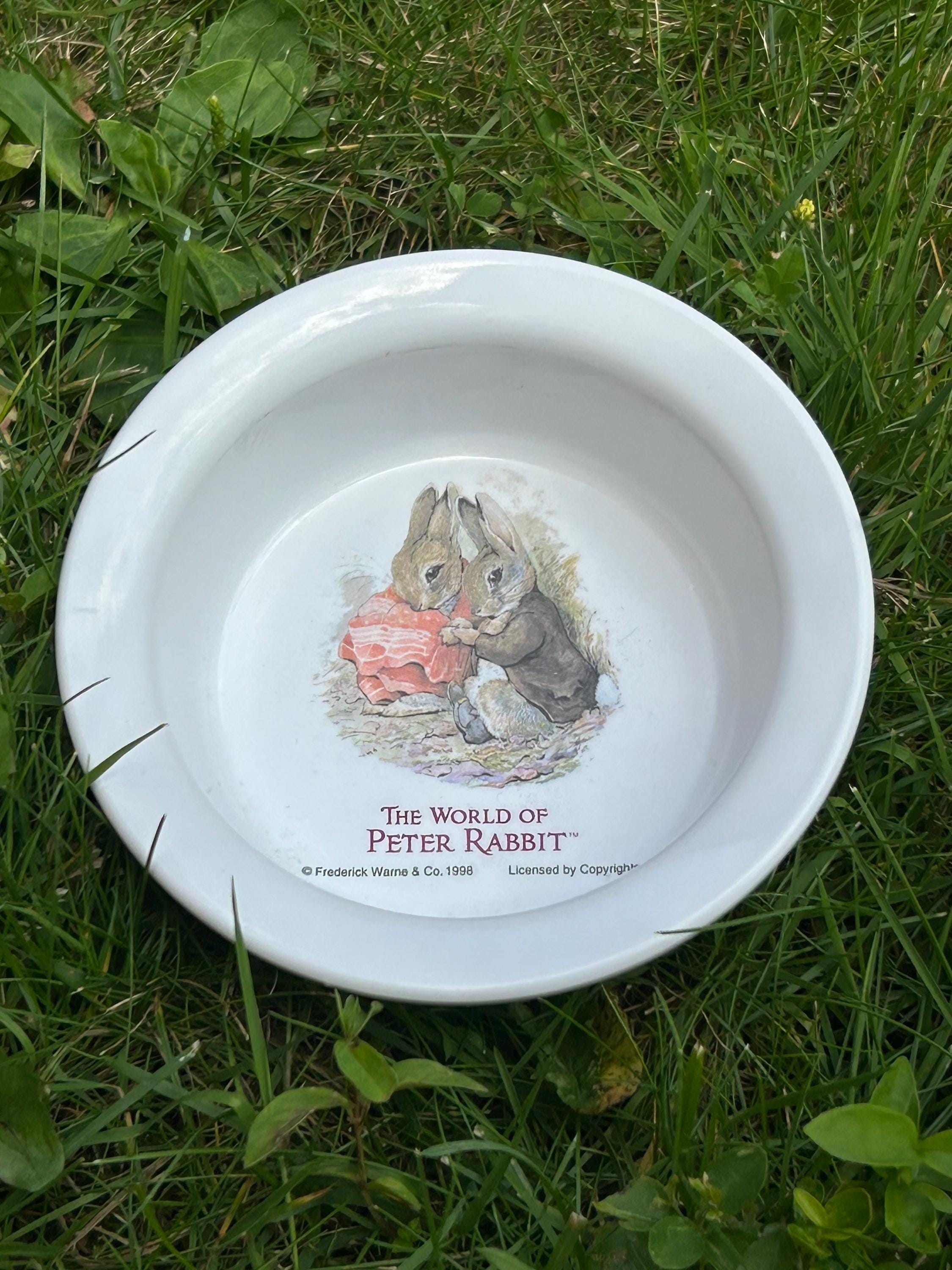 1998 Peter Rabbit - Etsy Australia