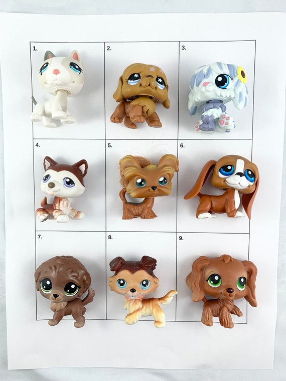 LPS Customs (help me choose a name!!) : r/LittlestPetShop