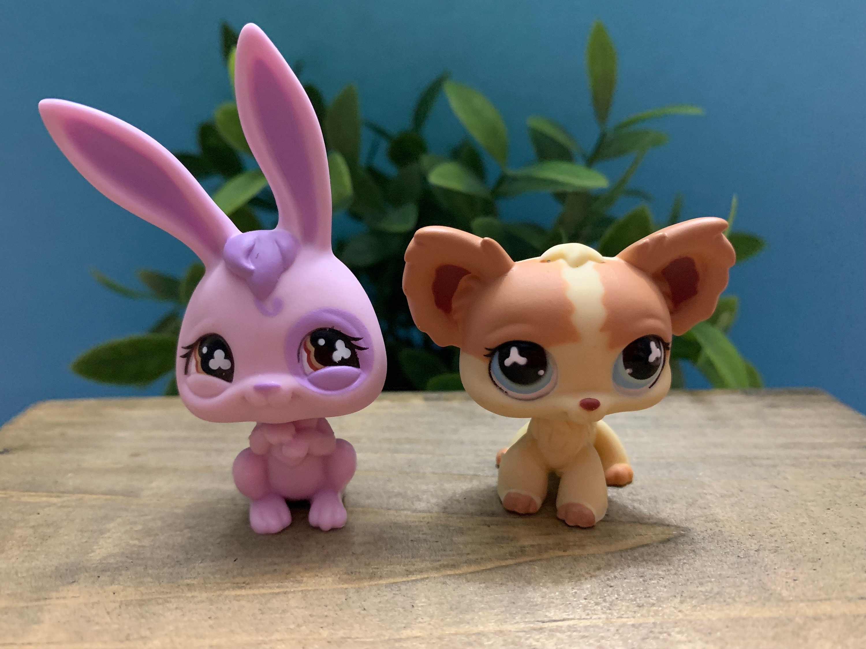 Mauve Bunny Collection Mauve Bunny Collection