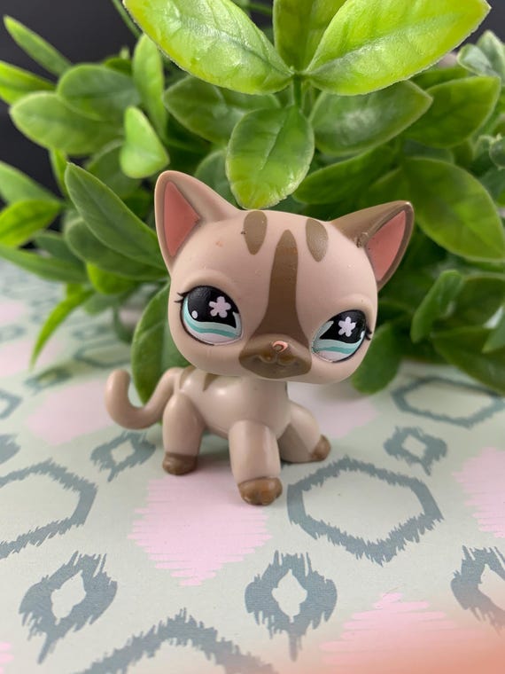 Littlest Pet Shop #1116 Crème Siamois Masqué Shorthair Chat LPS Authentique - France