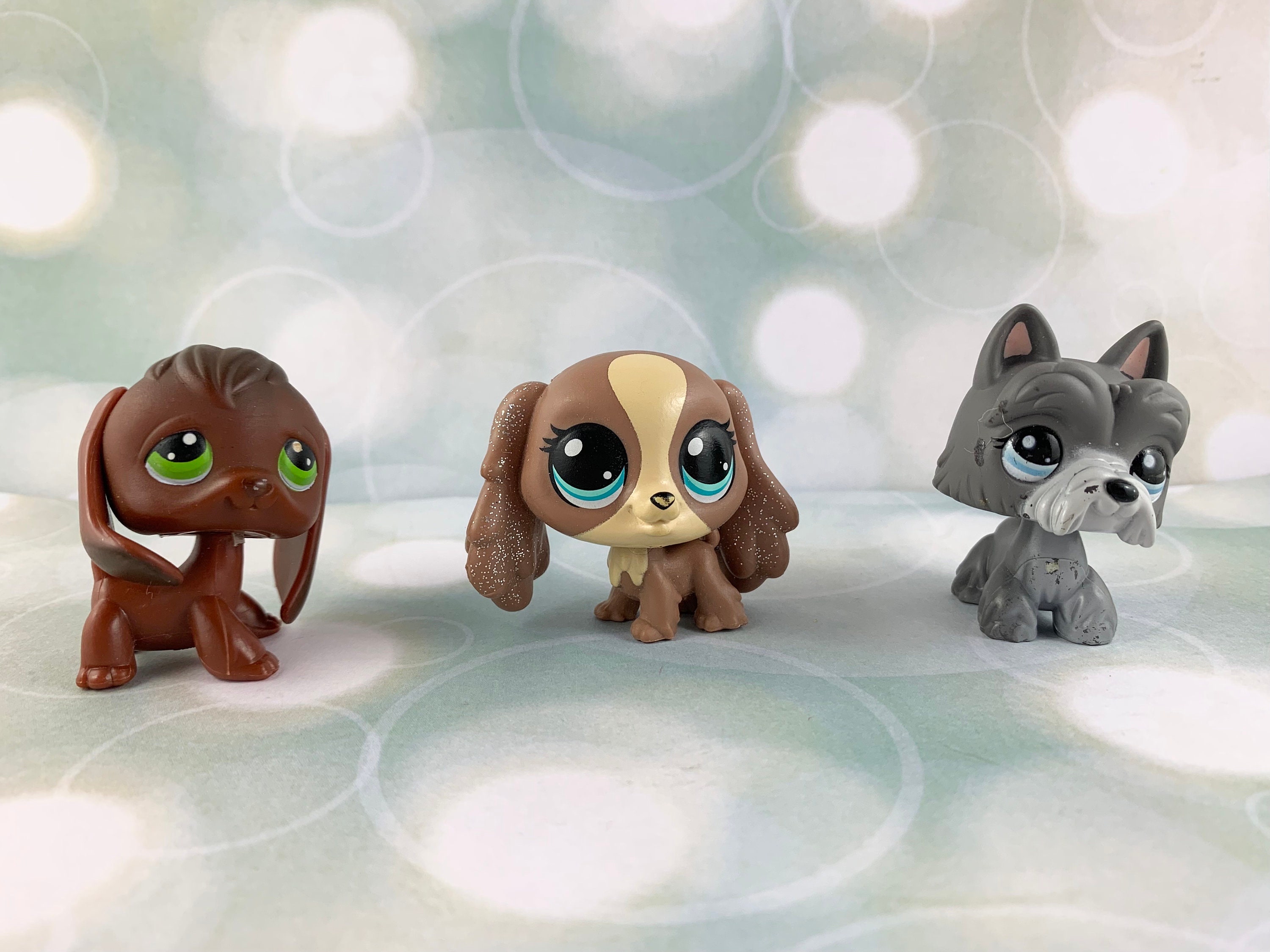 Lps king charles spaniel 2025
