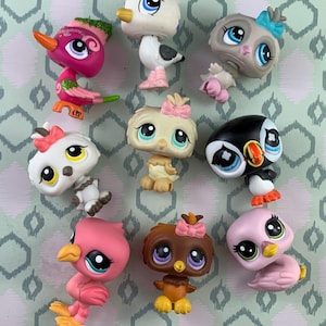 May include: A collection of nine colorful plastic bird figurines with large eyes. The birds are all different species, including a seagull, a penguin, an owl, and a flamingo.