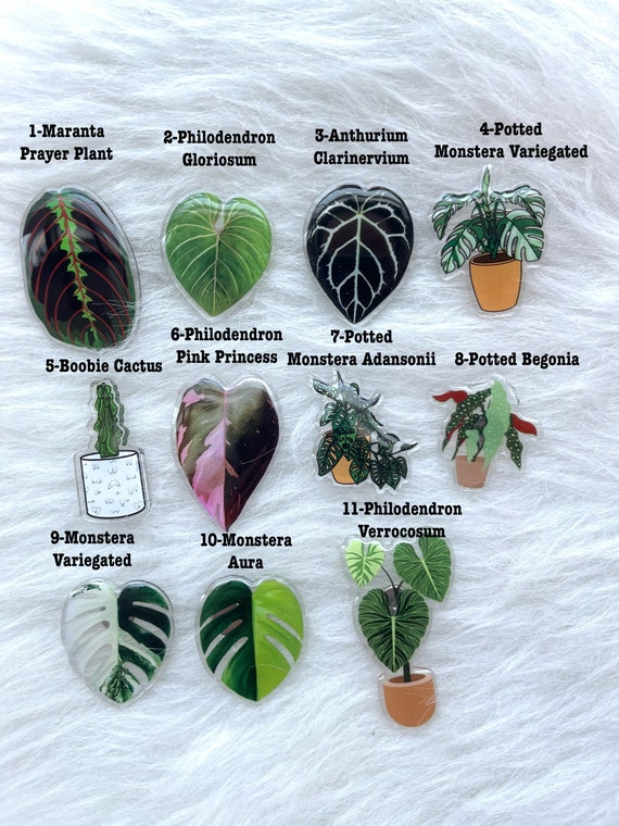 Plant croc charms new arrivals