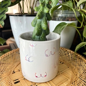 May include: A white ceramic planter with a colorful breast design. A green cactus plant is growing in the planter. The planter is sitting on a woven wicker coaster.