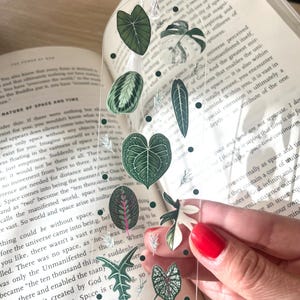 Pu&ograve; includere: Un segnalibro trasparente con una variet&agrave; di illustrazioni di piante verdi e bianche. Il segnalibro &egrave; progettato per assomigliare a una finestra con le piante che sembrano essere dietro il vetro.