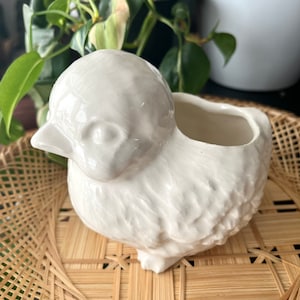 Ceramic Cute Chicken Planter Pot /Succulent Planter/ Off White Chick Indoor Plant Pot