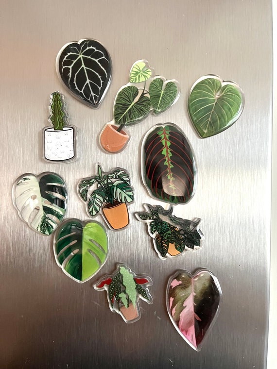 Monstera Albo Variegated Plant Leaf Charm for Shoes, Crocs Plant Charm,  Indoor Plant Pin Charm for Clogs, Houseplant Accessories for Shoes 