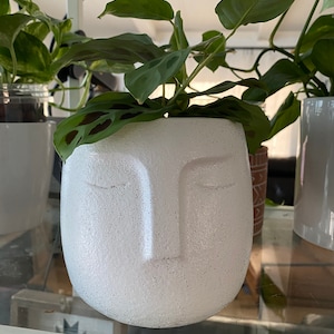 May include: A white, speckled ceramic planter with a face design, holding a green plant with patterned leaves. The planter is on a shelf with other plants in the background.