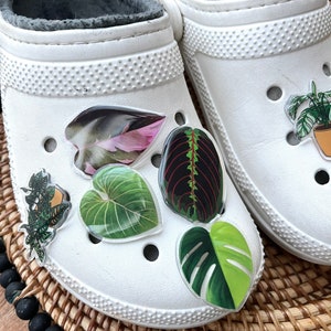 May include: White clogs with various green, pink and red leaf-shaped charms attached. The charms are made of clear plastic with printed images of leaves.