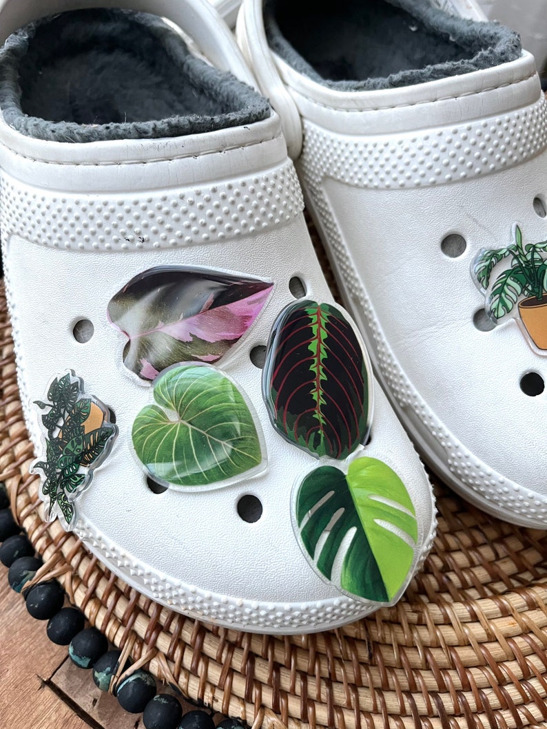 May include: White clogs with various green, pink and red leaf-shaped charms attached. The charms are made of clear plastic with printed images of leaves.