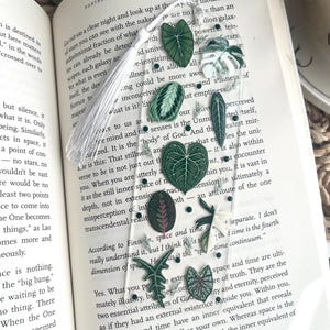 Pu&ograve; includere: Un segnalibro con nappa bianca con foglie e fiori pressati verdi e bianchi. Il segnalibro &egrave; su un libro aperto con testo sull'universo e lo spazio. Il testo dice "Esci in una notte limpida e guarda le migliaia di stelle che puoi vedere a occhio nudo. Non siamo altro che una frazione infinitesimale di ci&ograve; che si trova oltre noi."