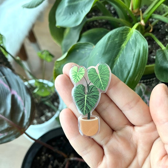 Philodendron Verrocosum Plant Leaf Charm for Shoes Crocs -  New Zealand