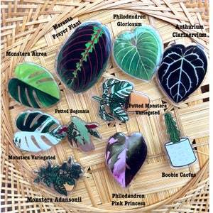 May include: Assortment of ten clear plastic round stickers featuring illustrations of different houseplants. The stickers include Monstera Aurea, Maranta Prayer Plant, Monstera Variegated, Philodendron Gloriosum, Anthurium Clarinervium, Potted Begonia, Potted Monstera Variegated, Monstera Adansonii, Philodendron Pink Princess, and Boobie Cactus.