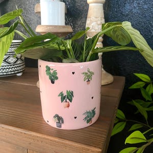May include: Pink ceramic planter with a pattern of small potted plants and hearts. A green plant is growing inside the planter.