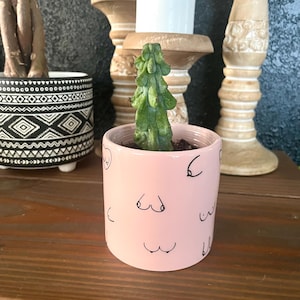 Body Positivity Pink Ceramic Planter, Small 3.5” Succulent Pot