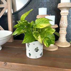 Handmade Ceramic Cylinder Planter, Modern Succulent Pot (4 inch)