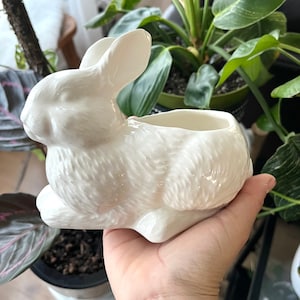 May include: White ceramic planter shaped like a rabbit. The planter has a textured fur-like finish and a small opening at the top for planting.