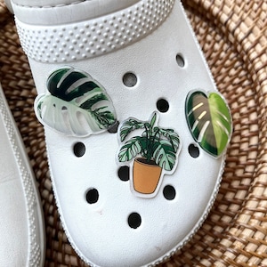 May include: White clogs with three plant-themed stickers. The stickers feature a potted plant, a large leaf, and a smaller leaf.