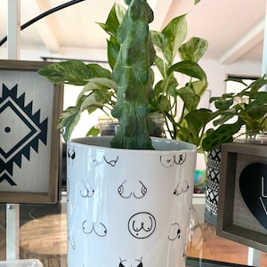 May include: White ceramic planter with a black and white pattern of stylized breasts. The planter is filled with a green cactus plant.