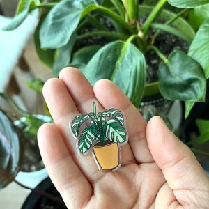 May include: A clear sticker featuring a green and white monstera plant in a yellow pot. The sticker is held in a hand.