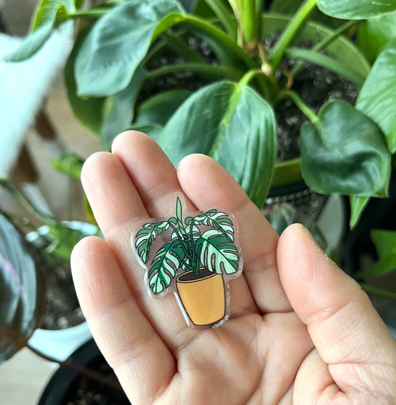 May include: A clear sticker featuring a green and white monstera plant in a yellow pot. The sticker is held in a hand.