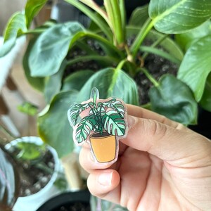 May include: A clear sticker of a potted monstera plant with green leaves and a yellow pot.