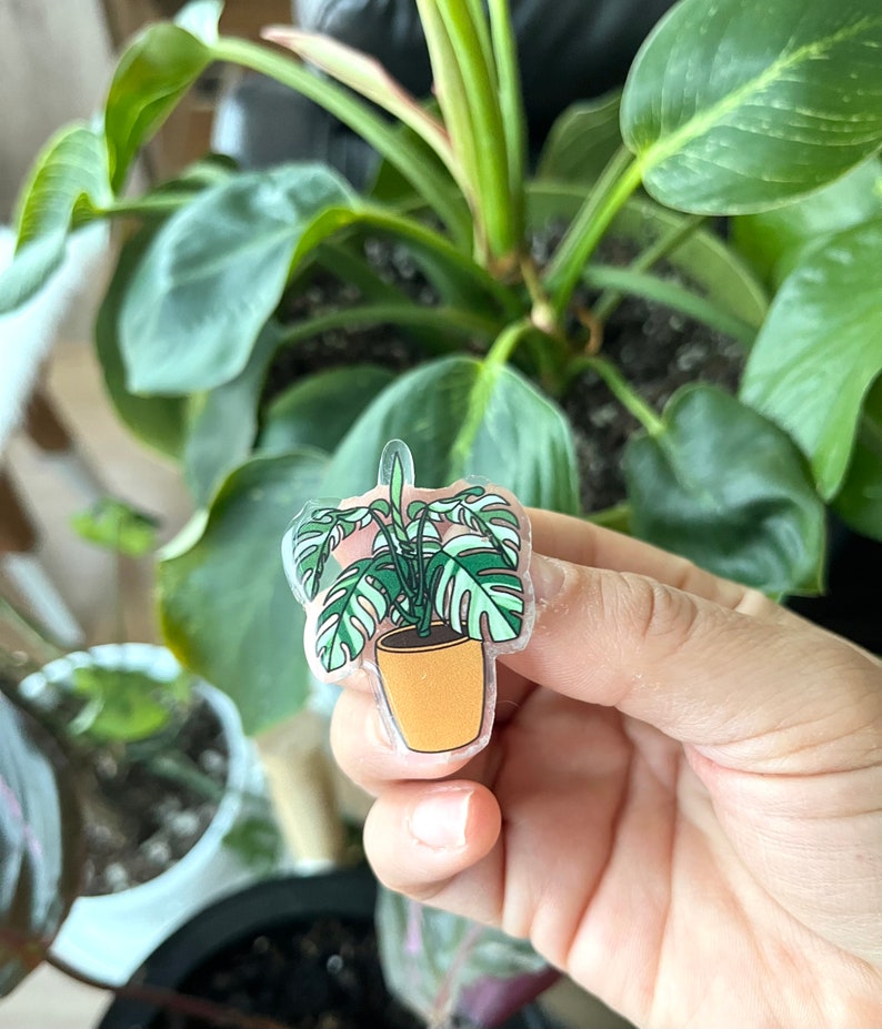 May include: A clear sticker of a potted monstera plant with green leaves and a yellow pot.