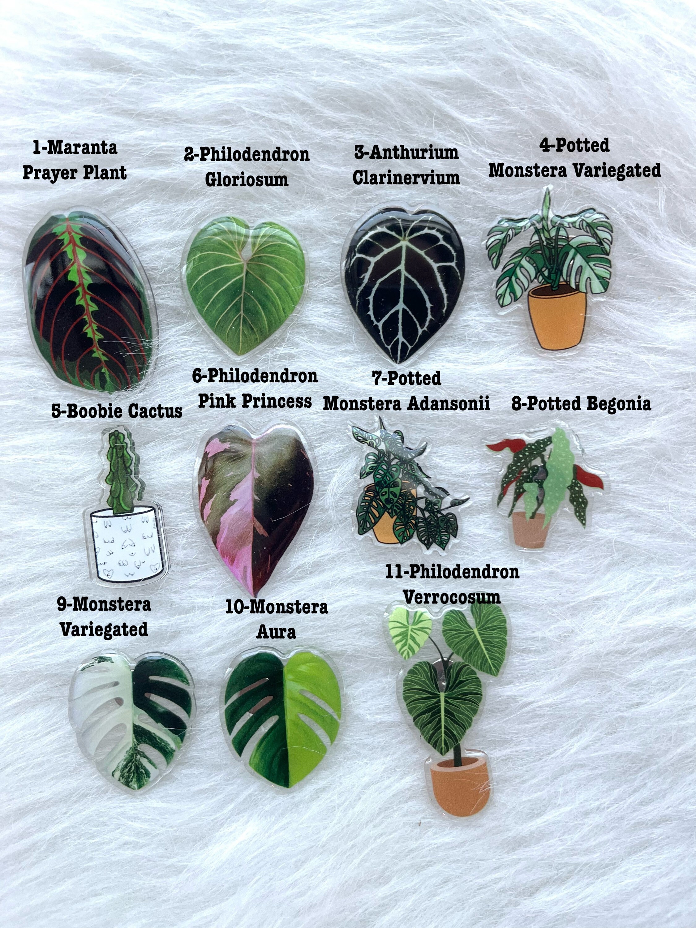 Maranta Prayer Plant Leaf Fridge Magnet, Cubicle Decor - Etsy