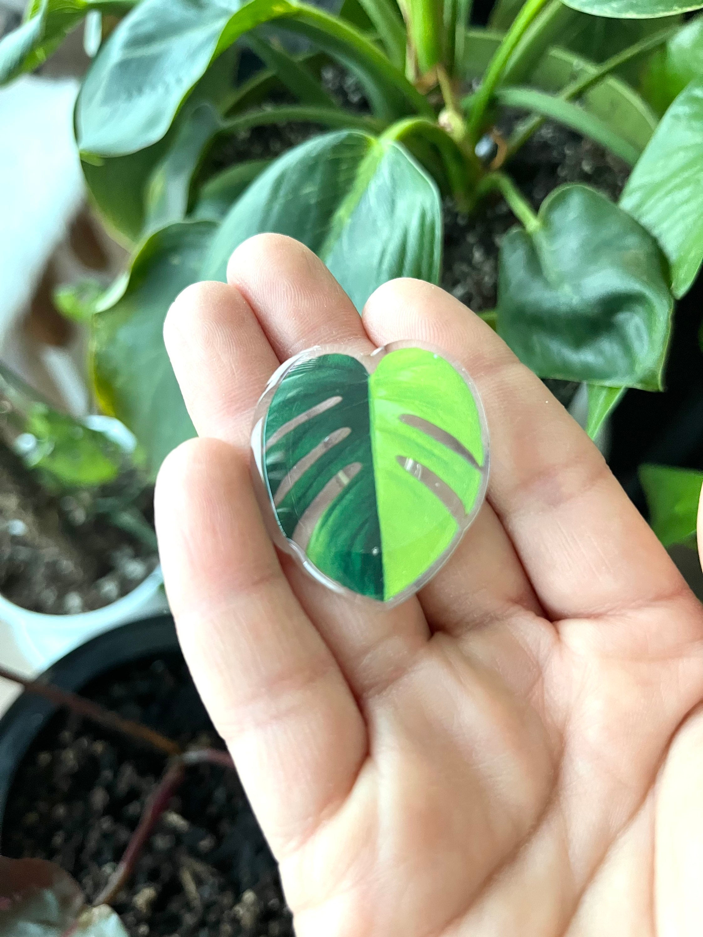 Monstera Albo Variegated Plant Leaf Charm for Shoes, Crocs Plant Charm,  Indoor Plant Pin Charm for Clogs, Houseplant Accessories for Shoes 