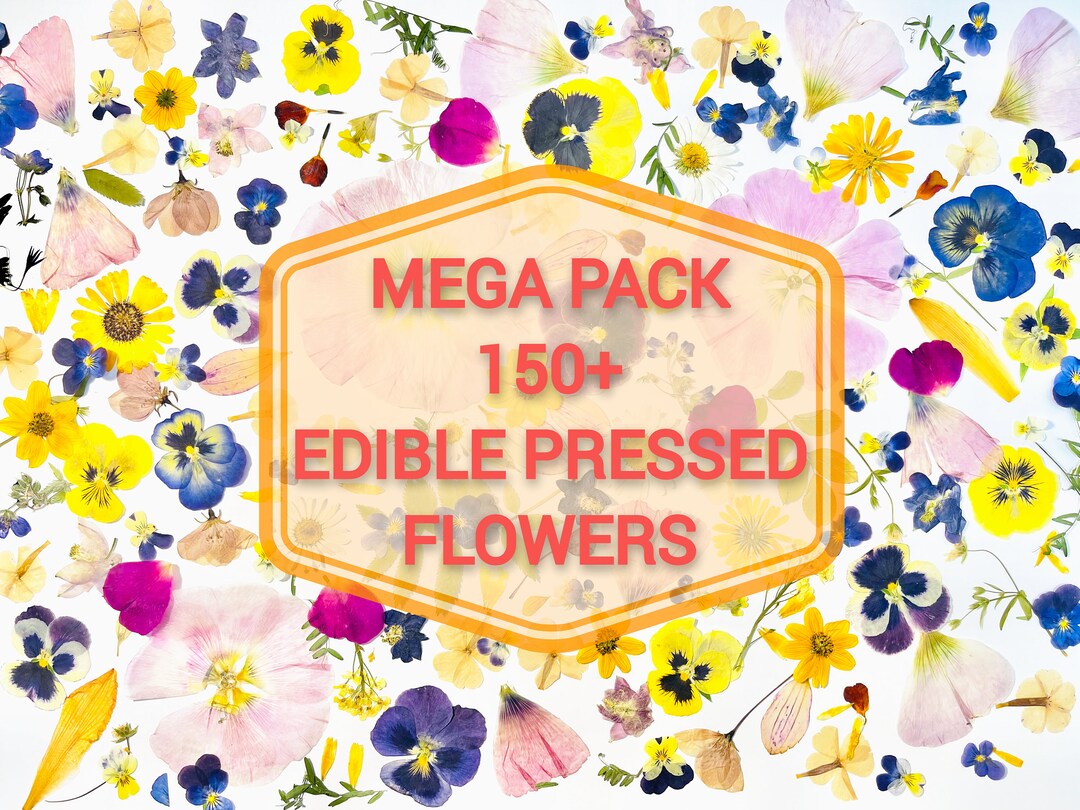 150 MEGA PACK Edible Pressed Flowers Edible Flowers for Cake Etsy