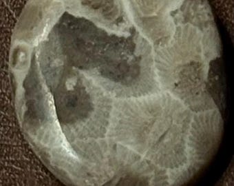 Lake Michigan Petoskey Stone Cabochon pendent 1”