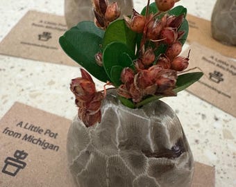 A little Pot From Michigan w/ native Broom Corn