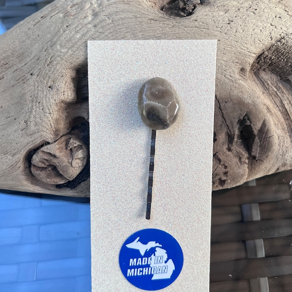 Lake Michigan Polished Petoskey Stone hair Bobbie pin