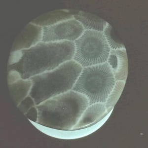 May include: A round, gray stone with a unique pattern of interconnected shapes and circular designs. The stone has a polished surface and a white base, creating a striking contrast. The overall appearance suggests a natural, organic theme.