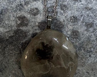 1.75 Lake Michigan Petoskey Stone pendant on 18” .925 Sterling Silver