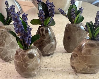 A little Pot from Michigan. Petoskey with native Lavender