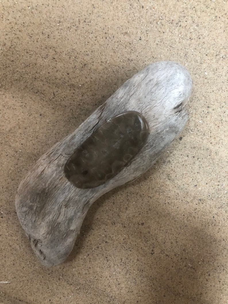 3\u201d Polished Petoskey Stone