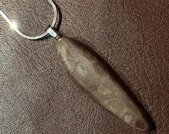 1.75 Lake Michigan Petoskey Stone pendant on 18” .925 Sterling Silver